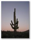 Phoenix Area